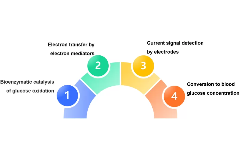 Blood sugar reagent strip printed electrode process